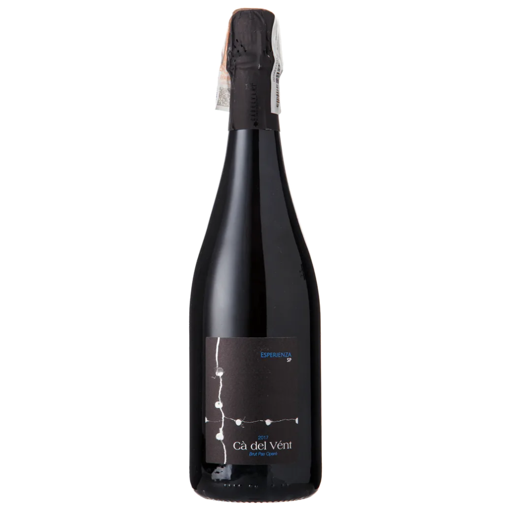 Ігристе Ca Del Vent Брют Есперіенза 2017 / Brut Esperienza біле брют 0,75 л