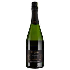 Вино Террерс Брют Натюр 2019 / Terrers Brut Nature виноградне натуральне ігристе біле без дозажу 0.75л