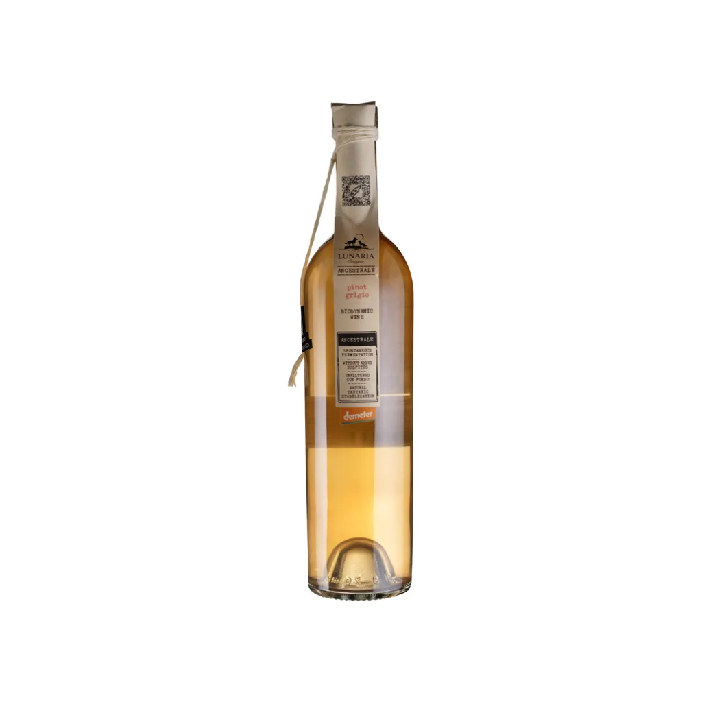 Вино Lunaria Ancestrale Піно Гріджо Терре д'Абруццо IGP / Pinot Grigio Terre D`Abruzzo IGP біле сухе 0.75л