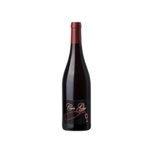 Вино Georges Descombes Кюве Жіжі 2020 / Cuve Gigi червоне сухе 0,75 л