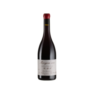 Вино Jean Foillard  Моргон Кот дю Пу 2019 / Morgon Cote du Py червоне сухе 0,75 л