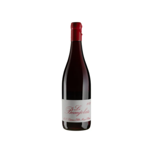 Вино Marcel Lapierre Божоле 2021 / Beaujolais червоне сухе 0,75 л