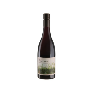Вино Pyramid Valley Норс Кентерб'юрі Піно Нуар 2020 / North Canterbury Pinot Noir вино виноградне натуральне  червоне сухе 0.75л